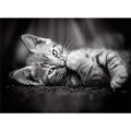 394227-clementoni-puzzle-1000-el-kitty-hq (1).jpg