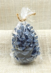 Szyszka naturalna 1szt /3731