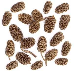 Szyszki naturalne ZŁOCONE 20szt /8476