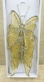 20201010_125722.jpg