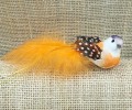 20201010_125336.jpg