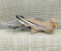 20201010_125144.jpg