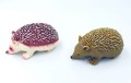 20201119_182202.jpg