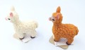 20201119_182323.jpg