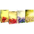t2 24-850x850.png