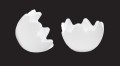 5902150639244.jpg