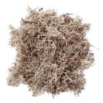 Mech naturalny BIELONY 30g /0862