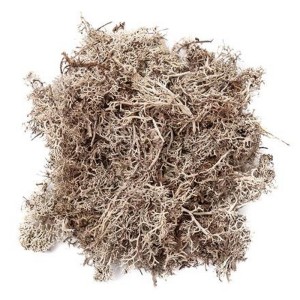 Mech naturalny BIELONY 30g /0862