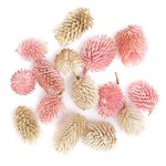 Owoce suszone, naturalne, dekoracyjne MIX 14szt /2569