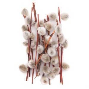 Bazie naturalne suszone 10g /5900