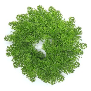 Wianek 30cm z gałązek TUJA /2655