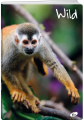 el-m6-032-ka5-zeszyt-w-kratke-a5.4_f.png
