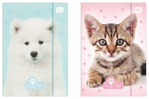 Teczka z gumką A4+ LUX PUPPY SIGN Inter-Druk /5406