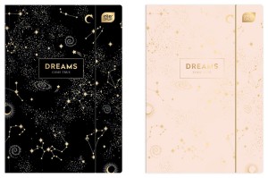 Teczka z gumką A4+ LUX METALLIC DREAMS Inter-Druk /4456