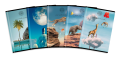 Amazing Animals.png
