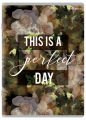 1108_1107037_preview.png