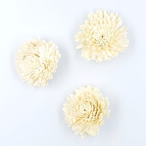 Kwiat SUSZ - SHOLA ZINNIA 8cm - 2szt /4440