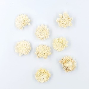 Kwiat SUSZ - SHOLA ZINNIA 4cm - 5szt /5652