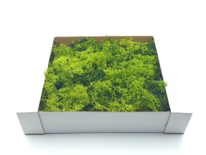 Mech naturalny CHROBOTEK 180g /21345