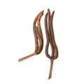 PALM-MALE-3-FINGERS.jpg