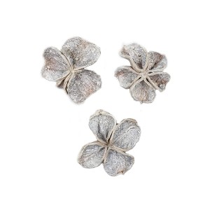 Kwiaty SUSZ - LAND LOTUS bielone - 3szt /89877