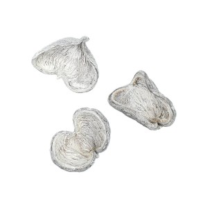 Owoce SUSZ - BADAM bielony - 1szt /56544