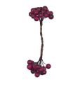 bordo.png
