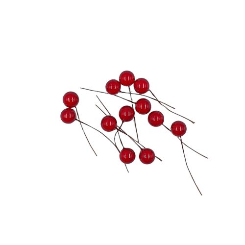 ostrokrzew czerwony 12szt.png