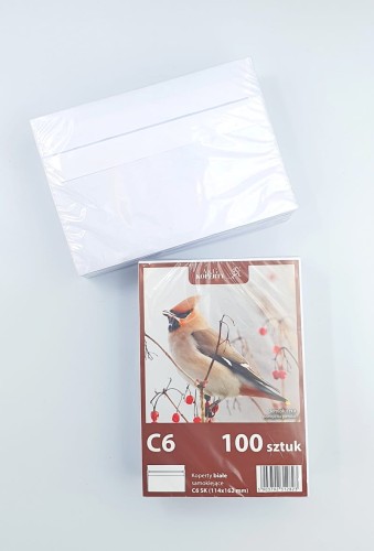 c6 -100.jpg