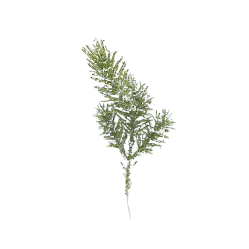 photoroom - 2021-11-17T221645.759.png