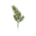 photoroom - 2021-11-17T221810.591.png