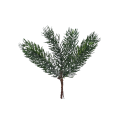 g-2 (1).png