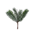 g-2 (2).png