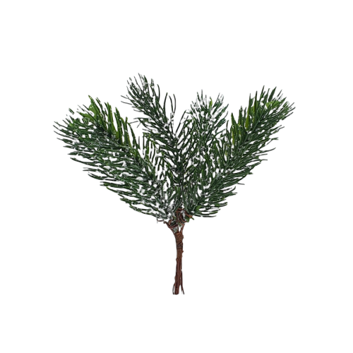 g-2 (2).png