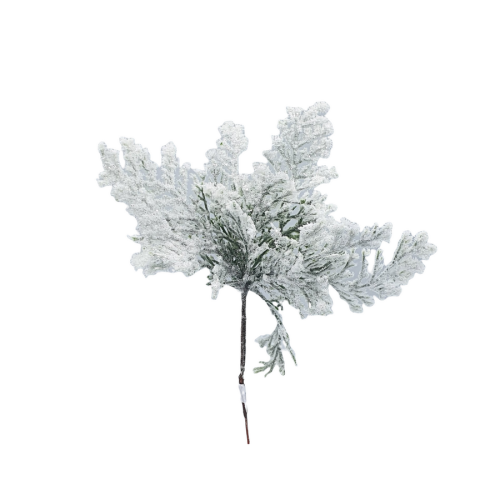2 (1).png