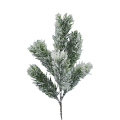 23T231836 (2).png