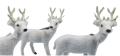 24T003610 (1).png
