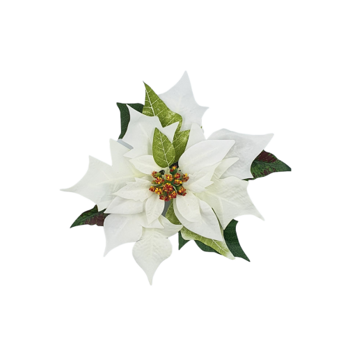 01T195355 (2).png