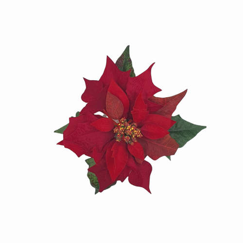 01T195809 (2).png