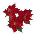 01T195554 (2).png