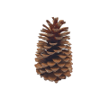 05T140801 (2).png