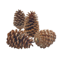 05T140801 (1).png
