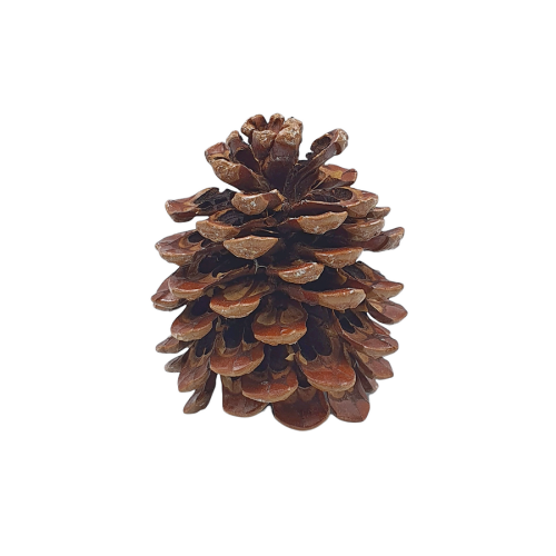 05T141313 (2).png