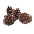 05T141313 (1).png
