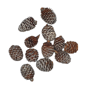Szyszki naturalne MUIRII ciemne 80g /03030