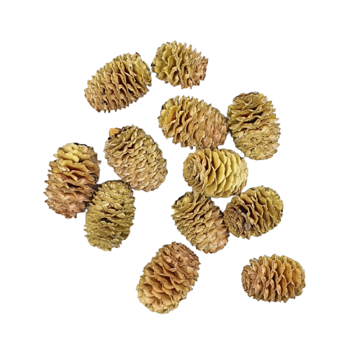 05T140246 (1).png