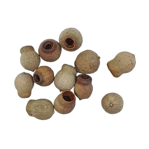 Owoce SUSZ - EUCALYPTUS BELLGUMS - 80g /05050