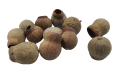 05T141618 (1).png
