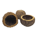 05T142209 (1).png