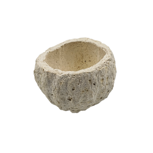 Owoce SUSZ - OURICO bielony - 1szt /07070